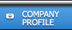 Company Profile